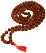 Rudraksha prayer beads for devotional practice and spiritual use.
