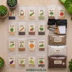 DIY Seasonal Vegetables Seeds Grow Kit - Pack of 20 Varieties + Soil Packets + Growing Bags + Tool Kit