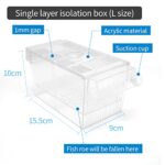 Fish Breeding Box Hatchery Incubator | Aquarium Isolation Box for Baby Shrimp & Fish Fry (Color May Vary) - Image 4