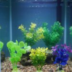 Beautiful Attractive Artificial Aquarium Decoration Plastic Plant - 6cm - 5 Pc (Green-Yellow-Pink-Purple) - Design May Vary