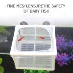 Fish Breeding Box for Betta Fish | Fry Isolation Box with Divider, Nylon Mesh & Suction Cups | 16x14x15cm(Color May Vary) - Image 5