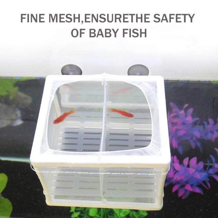 Fish Breeding Box for Betta Fish | Fry Isolation Box with Divider, Nylon Mesh & Suction Cups | 16x14x15cm(Color May Vary) - Image 5