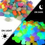 Glow in The Dark Stones 50 Pcs (1 Pack) - Glow Pebbles Aquarium Rocks for Fish Tank, Lawn, Yard, Garden, Walkway & Plant Pots - Rainbow - 1x1cm - Image 3