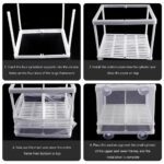 Fish Breeding Box for Betta Fish | Fry Isolation Box with Divider, Nylon Mesh & Suction Cups | 16x14x15cm(Color May Vary) - Image 3
