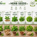 Kitchen Herb Garden Combo – 6 Essential Herb Seeds Pack with CocoPeat Soil For organic Grow🌿 | Grow Fresh Flavours at Home!