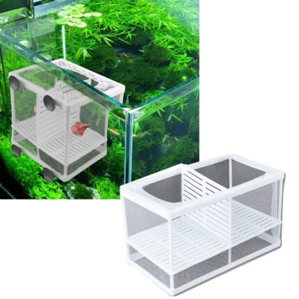 Aquarium fish breeding and care box for fry isolation