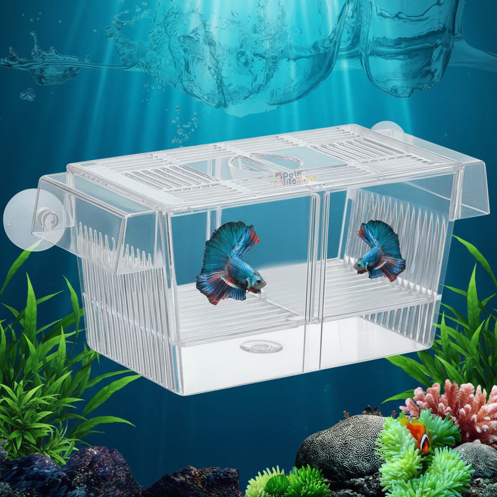 71I0FIDPC_L._SL1500.jpg Fish Breeding Box Hatchery Incubator | Aquarium Isolation Box for Baby Shrimp & Fish Fry (Color May Vary) - Image 1