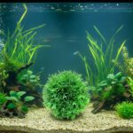 Simulated Grass Ball – Faux Greenery Eucalyptus Sculpted Ball for Home, Office, Garden & Events