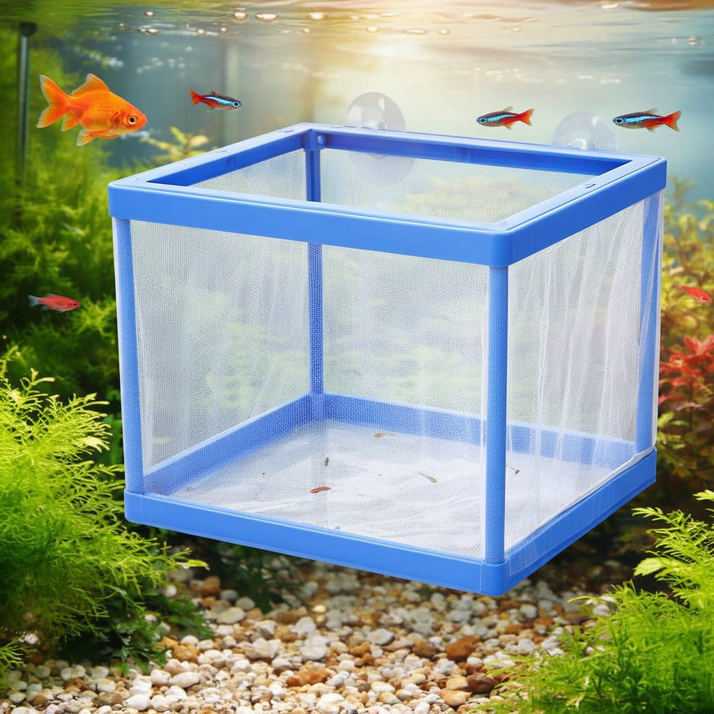 71cCKwJIXvL._SL1024.jpg Fish Tank Breeder Net Box with Suction Cups | Blue Mesh Fry Saver | Isolation Box for Baby, Injured & Aggressive Fish(Color May Vary) - Image 1