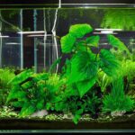Aquarium Green Plants Set – Realistic Underwater Plastic Water Grass & Aquatic Decor