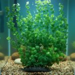 Artificial Long Plastic Underwater Flower Plant for Aquarium Decoration