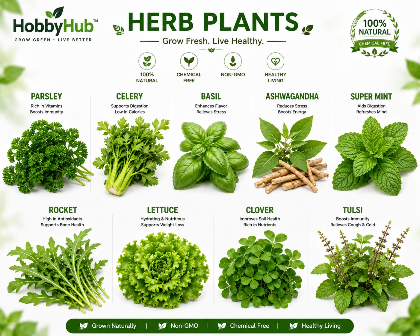 9_Herb_seds_packet.jpg Herbal Seeds Combo Pack – 9 Native Indian Kitchen Garden Varieties With Cocopeat Soil Pack | Native Indian Organics 🌿 - Image 1