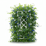 Aprajita Flower Seeds Mix Color | 20 Seeds Pack - Image 2