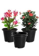Heavy Duty Black Plastic Plant Pots for Indoor & Outdoor Gardening with Drainage Holes (4 Inch, Pack of 6) - Image 4