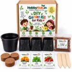 Kids DIY gardening kit for return gifts and learning