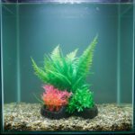 Artificial Aquarium Plant Decoration – Colorful Beautiful Plant