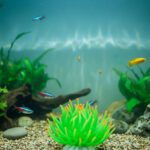 Simulation Luminous Silicone Sea Urchin Aquarium Decoration – Green Small