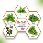 Organic Herb Seeds Combo Pack – 5 Varieties (Super Mint, Tulsi, Basil, Ashwagandha, Rocket)