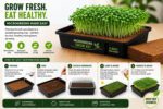 DIY Microgreen Ready-to-Grow Kit - 6 Varieties of Microgreens Seeds Combo Pack- Non-GMO + 6 Growing Trays + 6 Organic Coir Mats - Image 2