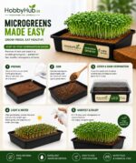 Ready To Grow Pack-Microgreen Seeds Starter Kit- Wheat Grass Seeds - Image 2