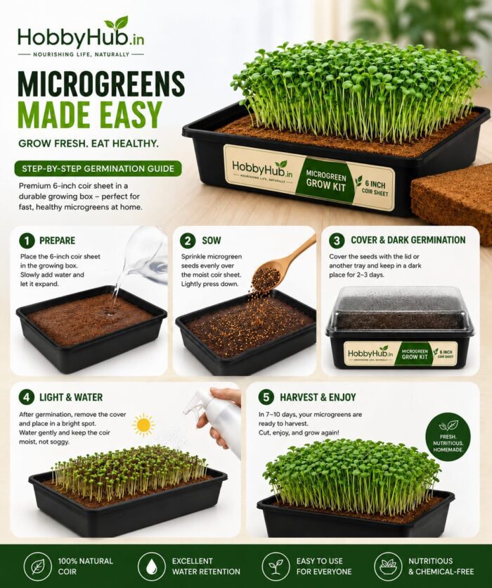 Ready To Grow Pack-Microgreen Seeds Starter Kit- Wheat Grass Seeds - Image 2