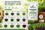 Premium Microgreens Seeds 12 Varieties with Cocopeat Soil for Organic Germination-Combo | Non-GMO | With Growing Instructions | Grow Your Own Super Salad