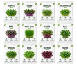Premium Microgreens Seeds 12 Varieties with Cocopeat Soil for Organic Germination-Combo | Non-GMO | With Growing Instructions | Grow Your Own Super Salad - Image 2