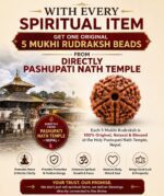 108+1 Beads Polished Neem Japa Mala for Meditation & Mantra Chanting - Image 3