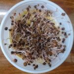 Spinach Organic Microgreen Seeds | Nutrient-Rich | Easy-to-Grow Superfood - Image 2