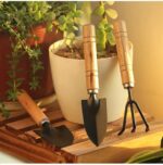 Mini Gardening Tools Kit - 3 Pcs (Small) | Home Gardening Tool Set - Image 2
