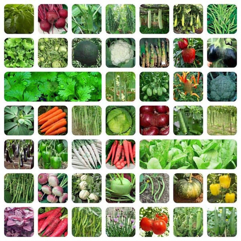 Veg1-45-2000x2000-1.jpg Indian Vegetable Seeds Mega Combo Pack | 45+ Different Varieties | ताजा सब्जियों के बीज | Non-GMO | Fresh Harvested - Image 1