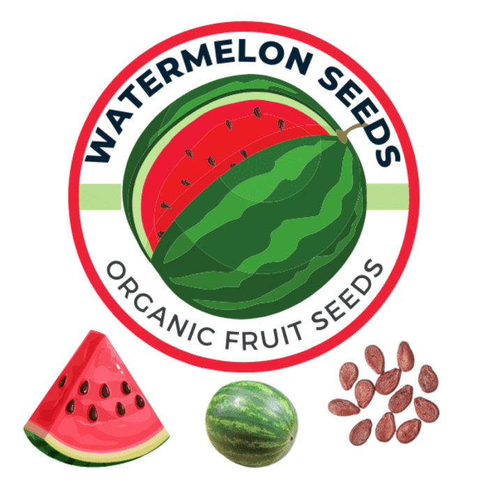 Watermelon Seeds (Tarbooj / तरबूज के बीज) | Grow Juicy Delights in Your Indian Garden - Image 2