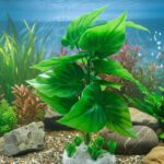 Big Leaf Artificial Plant for Aquarium Fish Tank Decoration
