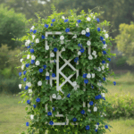 Aprajita Flower Seeds Mix Color | 20 Seeds Pack