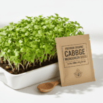 Cabbage Microgreen Seeds, product image in Microgreen Seeds at V Square Retail