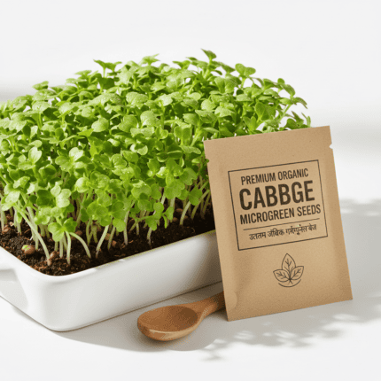 Cabbage Microgreen Seeds, product image in Microgreen Seeds at V Square Retail