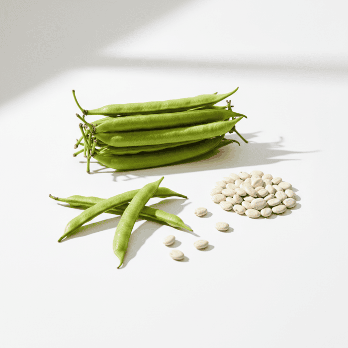 Cluster Beans Seeds | Guar Phali | ग्वार फली के बीज | High Quality Vegetable Seeds - Image 2