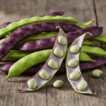 Hyacinth Beans Sem Fali Dwarf Variety Vegetable Seeds (Set of 10 Seeds)