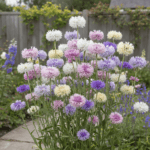 Sweet Sultan Mixed Color Flower Seeds
