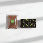 Cocopeat Soil for Home Garden Plants (50g) - Image 2