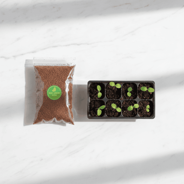 Cocopeat Soil for Home Garden Plants (50g) - Image 2