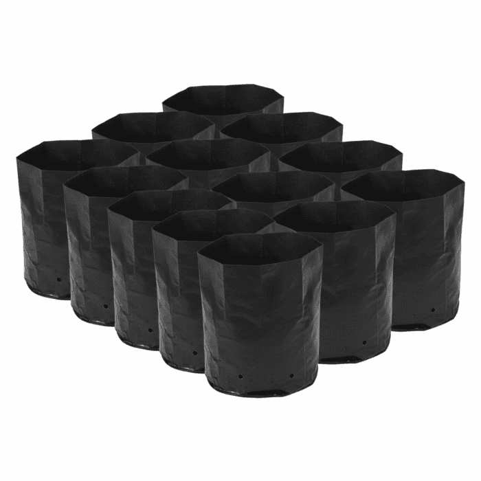 Plastic UV Protected Poly Nursery Plant Bags – 5×7 Inch, Black | Pack of 10 | Home Garden Grow Bags - Image 3