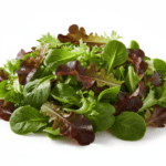 Lettuce Salad Seeds | Vegetable Seeds | Grow Healthy Vitamin-Rich Salad at Home