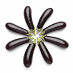 Long Brinjal Seeds | Baingan Long Variety (बैंगन) | Vegetable Seeds for Home Garden - Image 2