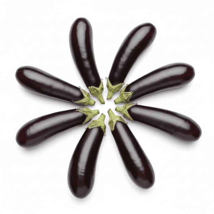 Long Brinjal Seeds | Baingan Long Variety (बैंगन) | Vegetable Seeds for Home Garden - Image 2