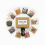 Seeds Starter Kit DIY Box – Winter Flowers seeds (10 Varieties)+Cocopeat Soil+Germination Bag(10 Pcs)