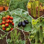 Vegetable Seeds Combo Pack (Set of 5 Packets) | Brinjal, Tomato, Moringa, Cluster Beans, Bittergourd