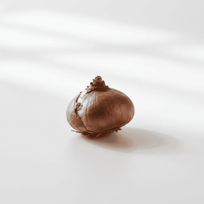 Gladiolus Flower Bulb – 1 Pc - Image 2