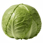 Lettuce Iceberg Round Salad Patta Seeds | Vegetable Seeds
