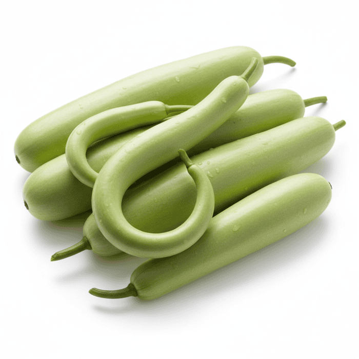Bottle Gourd Long Seeds | Lauki / Ghiya (लौकी के बीज) | Vegetable Seeds for Home Garden - Image 2